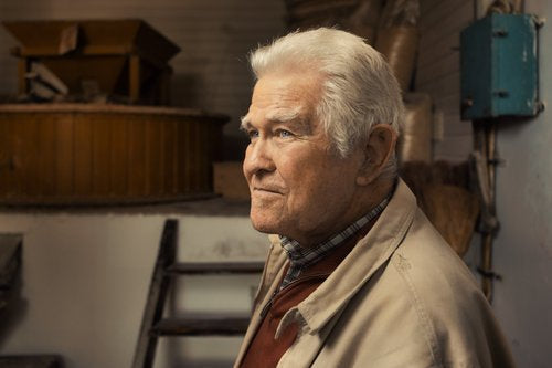 João Viveiros